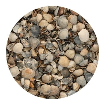 Stonewish Schelpen 8-16 mm - bigbag á 1000 kg 1